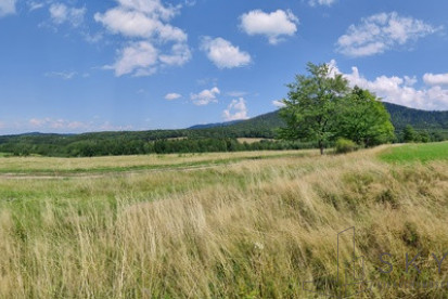 Działka Sprzedaż Wilkanów